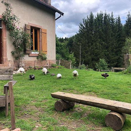 A L'Oree De Soi - Maison Forestiere De La Soie - Eco Gite, Chambres D'Hotes, Camping Au Pied Des Vosges Saint-Sauveur  Exterior foto