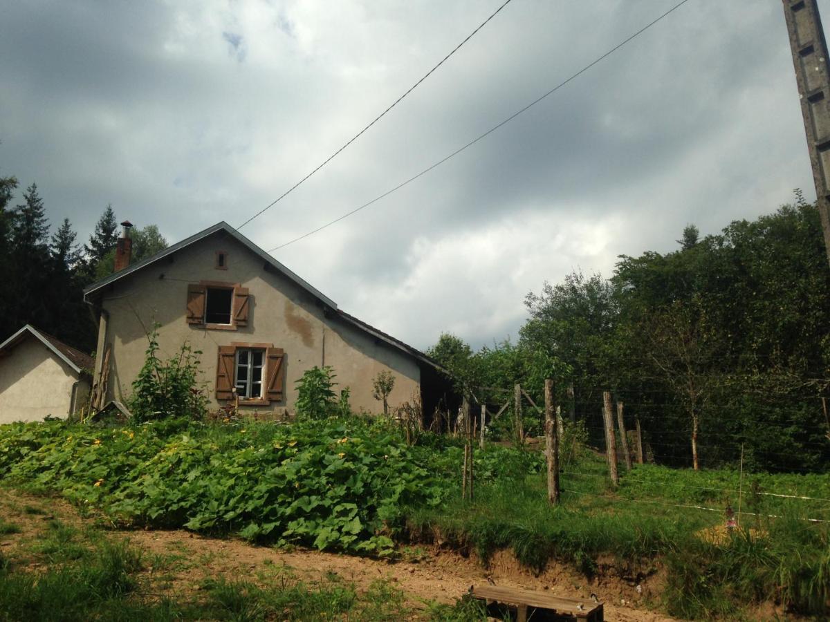 A L'Oree De Soi - Maison Forestiere De La Soie - Eco Gite, Chambres D'Hotes, Camping Au Pied Des Vosges Saint-Sauveur  Exterior foto