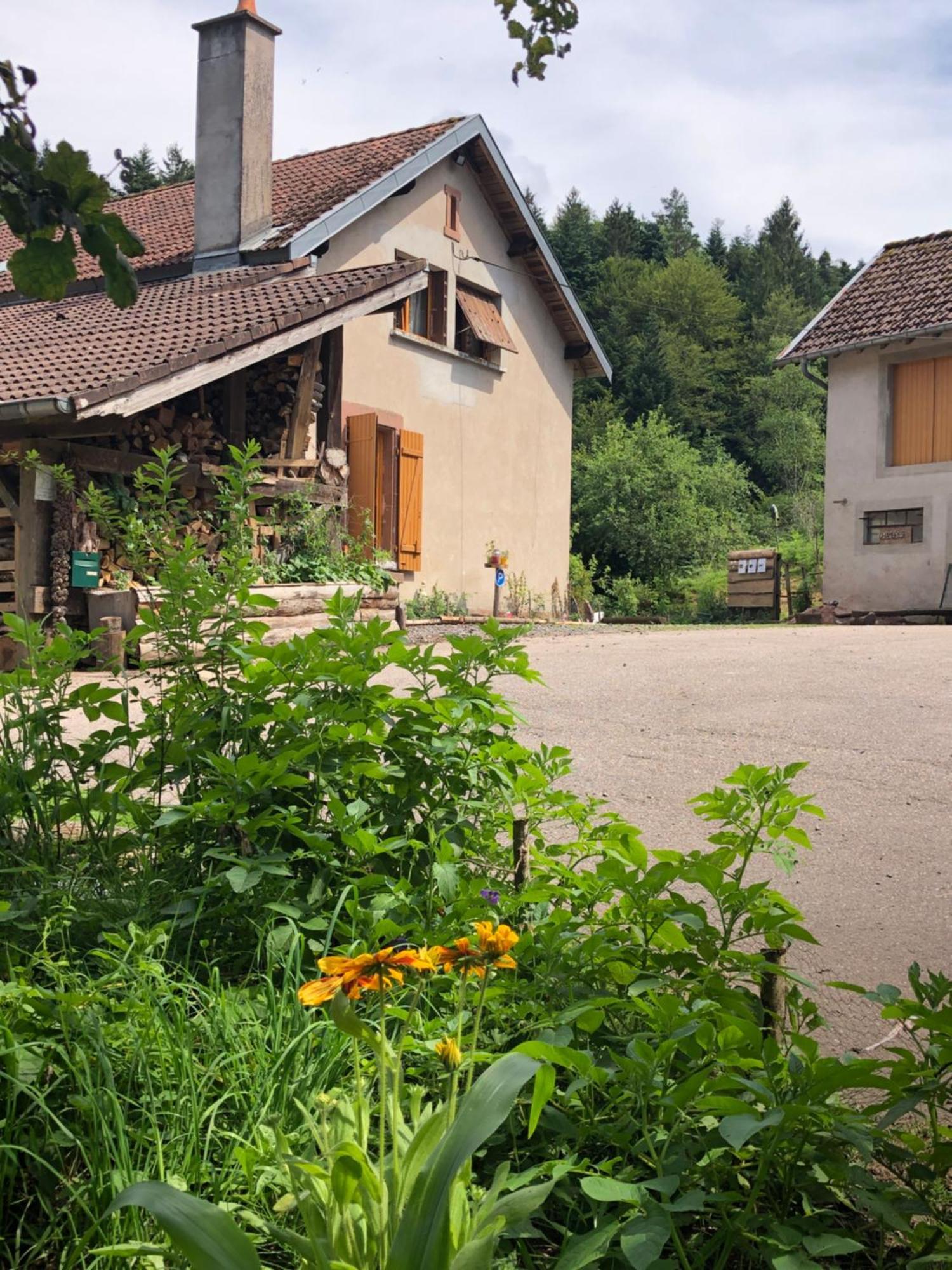 A L'Oree De Soi - Maison Forestiere De La Soie - Eco Gite, Chambres D'Hotes, Camping Au Pied Des Vosges Saint-Sauveur  Exterior foto