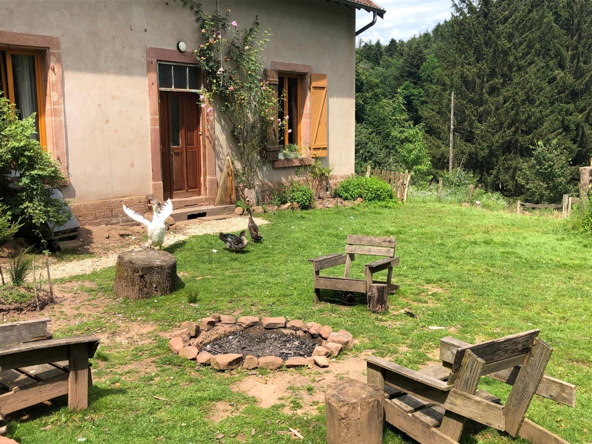 A L'Oree De Soi - Maison Forestiere De La Soie - Eco Gite, Chambres D'Hotes, Camping Au Pied Des Vosges Saint-Sauveur  Exterior foto