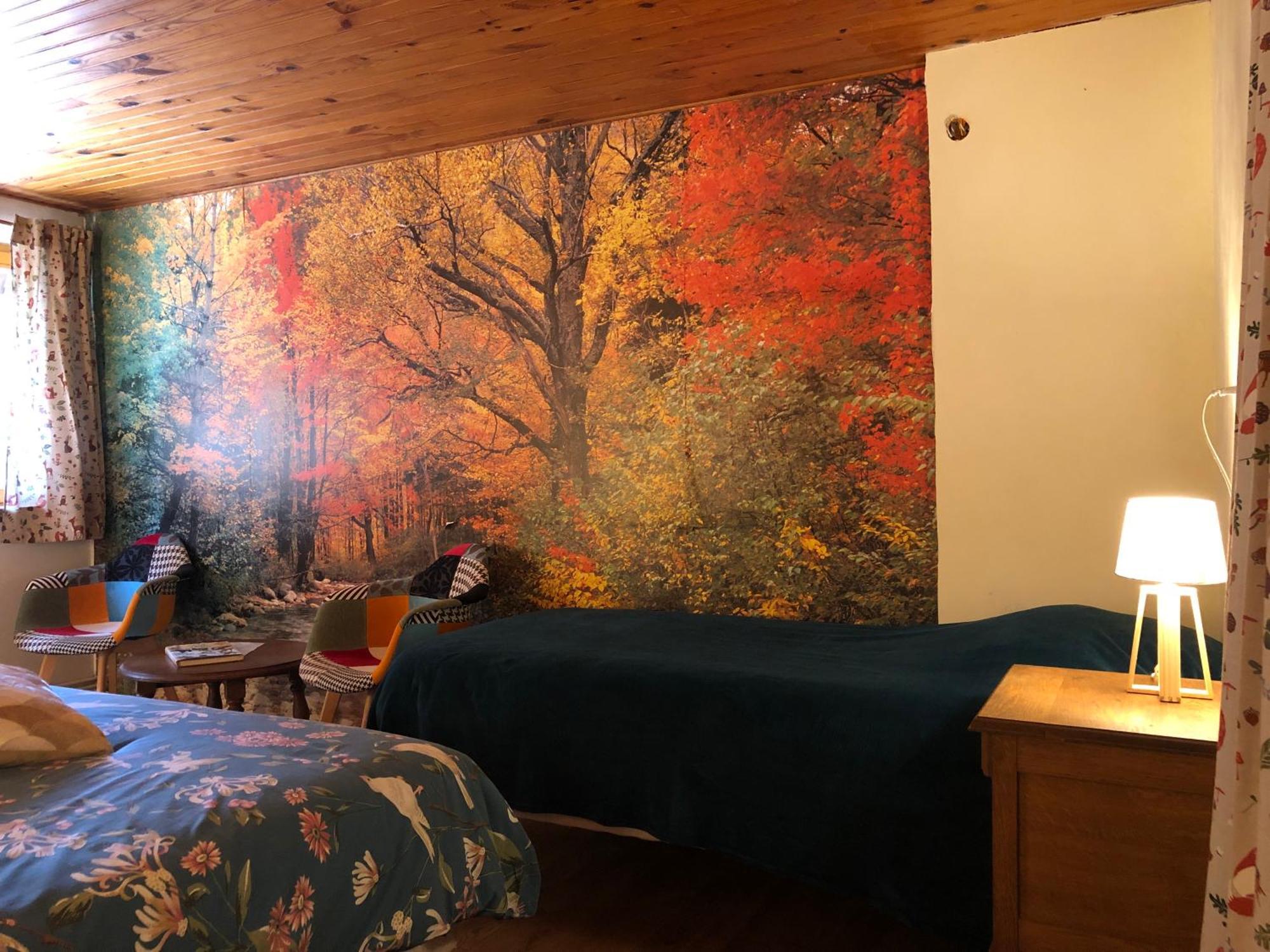 A L'Oree De Soi - Maison Forestiere De La Soie - Eco Gite, Chambres D'Hotes, Camping Au Pied Des Vosges Saint-Sauveur  Exterior foto