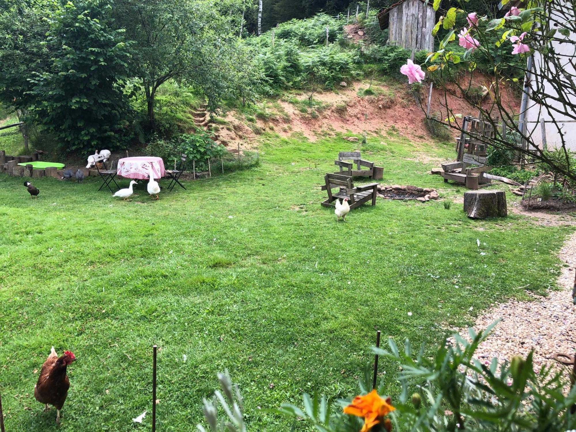A L'Oree De Soi - Maison Forestiere De La Soie - Eco Gite, Chambres D'Hotes, Camping Au Pied Des Vosges Saint-Sauveur  Exterior foto